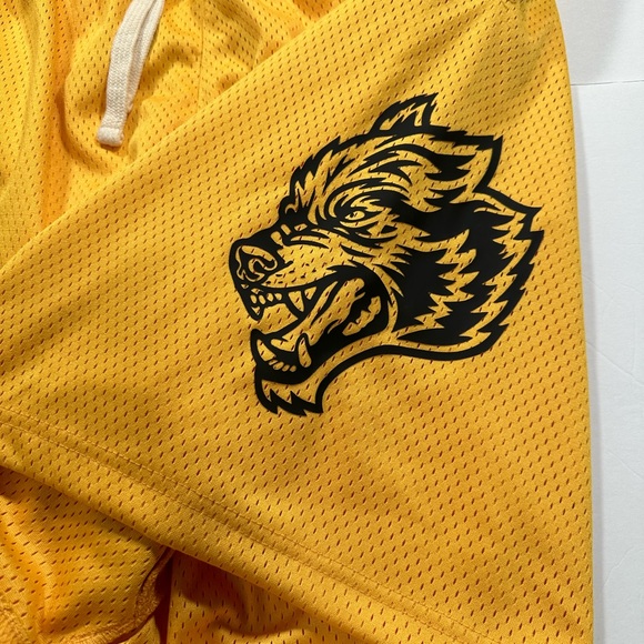 Darc Sport Powerhouse Mesh Shorts - Picture 2 of 5